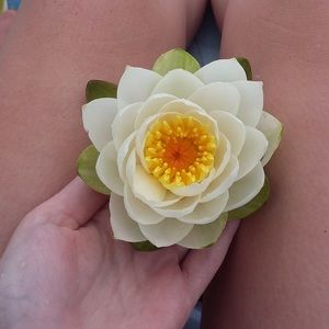 Meet your Posher, Bailey